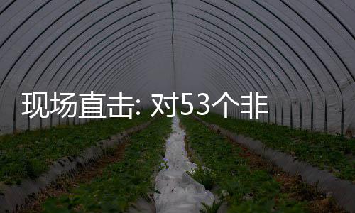 现场通关货物对53个国全关税面实直击建交非洲全国施零首票深圳