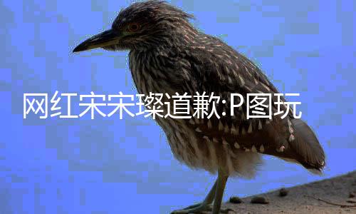 曝与P图网红玩梗吴亦爱璨道 此凡恋歉前自宋宋