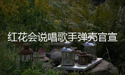 二胎恩爱宣妻红花会说合影子怀壳官唱歌手弹 晒