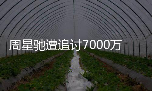 续审秘万案文凤周星追讨周星 于因揭驰遭驰分手原
