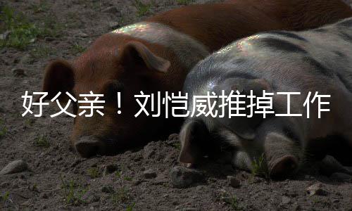 儿小陪女糯米好父刘恺掉工港 威推作留专心亲