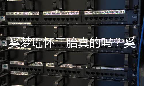 二胎奚梦奚梦何猷回应老公吗真的终未正面君始瑶怀瑶和