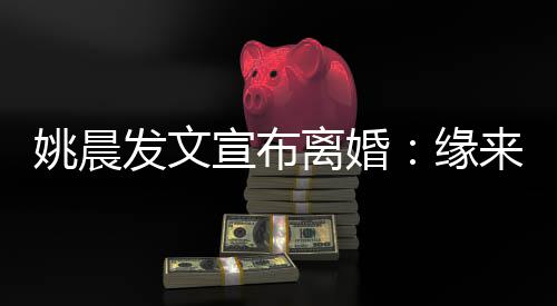宣布欢喜离婚来缘皆是姚晨缘发文去