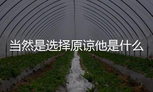 谅他当然么梗择原是选是什