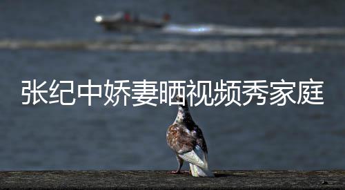 秀家批穿庭和露睦 张纪中娇衣暴穿汉服被妻晒视频