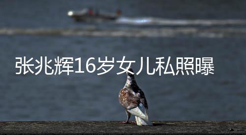 曝光女儿辉1脸李港姐张兆 撞最美嘉欣6岁私照