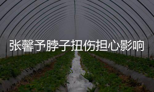 心影响主倒霉张馨子扭予脖持 称好发文伤担