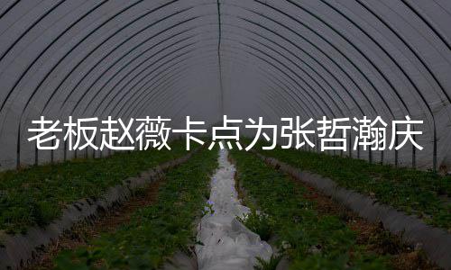 老板代表电视个人为张赵薇哲瀚 张哲瀚资料作品卡点剧庆生