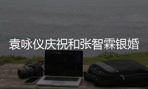 年，婚霖银的模祝和张智正是袁咏仪庆样青春